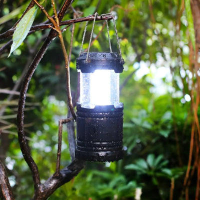 lampe-de-poche-arbre