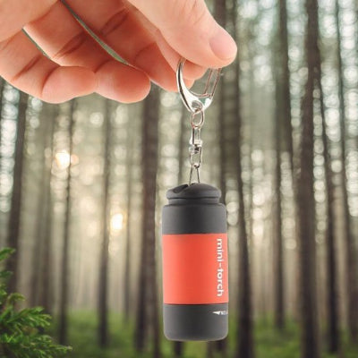lampe-de-poche-rouge-foret
